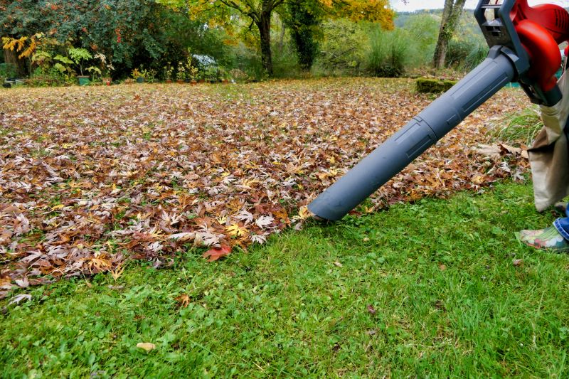 Lawn Blowing Debris