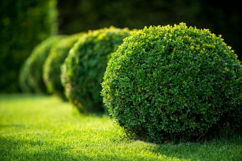 Shrubs with Precise Trimming