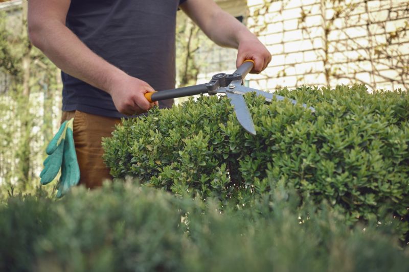 Detail of Shrub Pruning