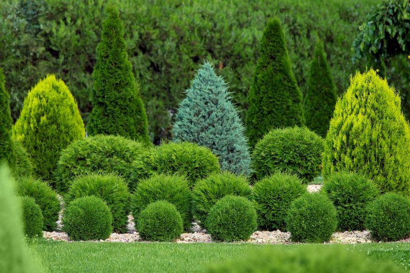 Artfully Shaped Bushes
